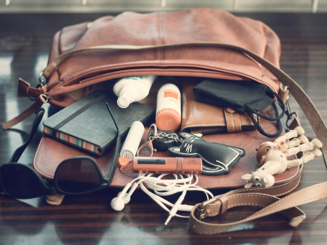 thief hiding items in bag